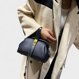 Daliborka - Retro Elegante Tasche